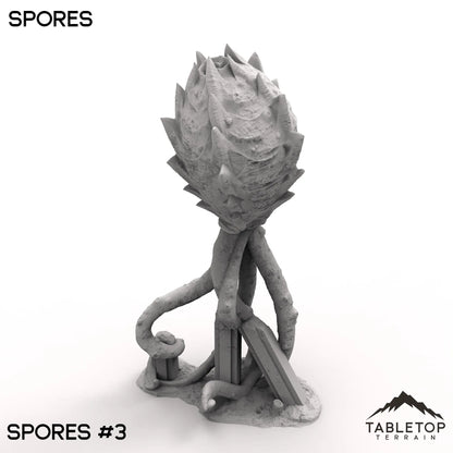 Spores
