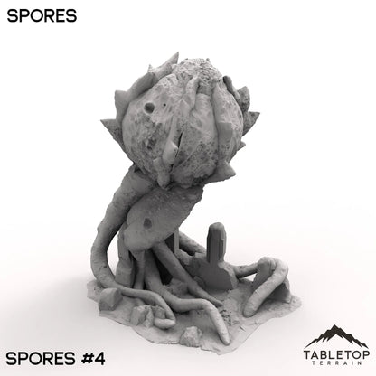 Spores