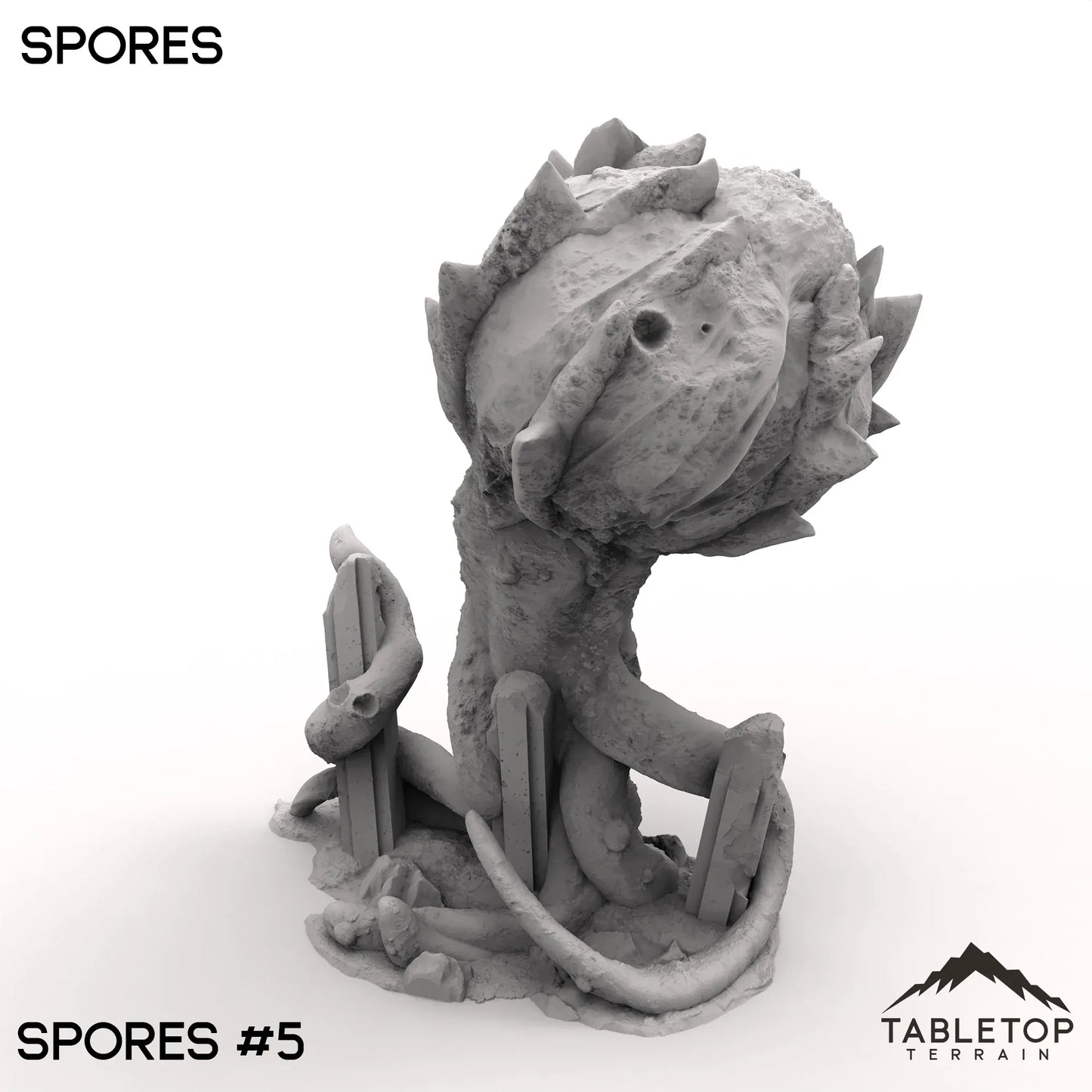 Spores