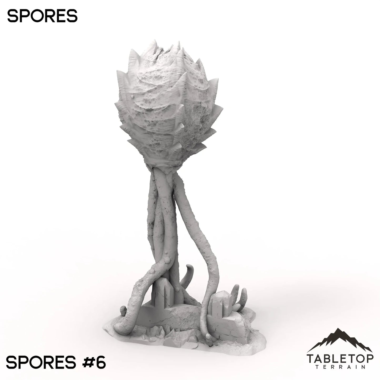 Spores