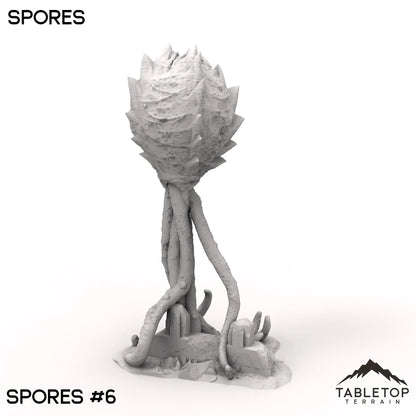 Spores
