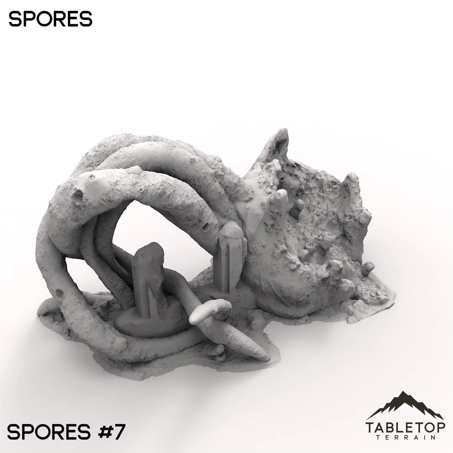 Spores
