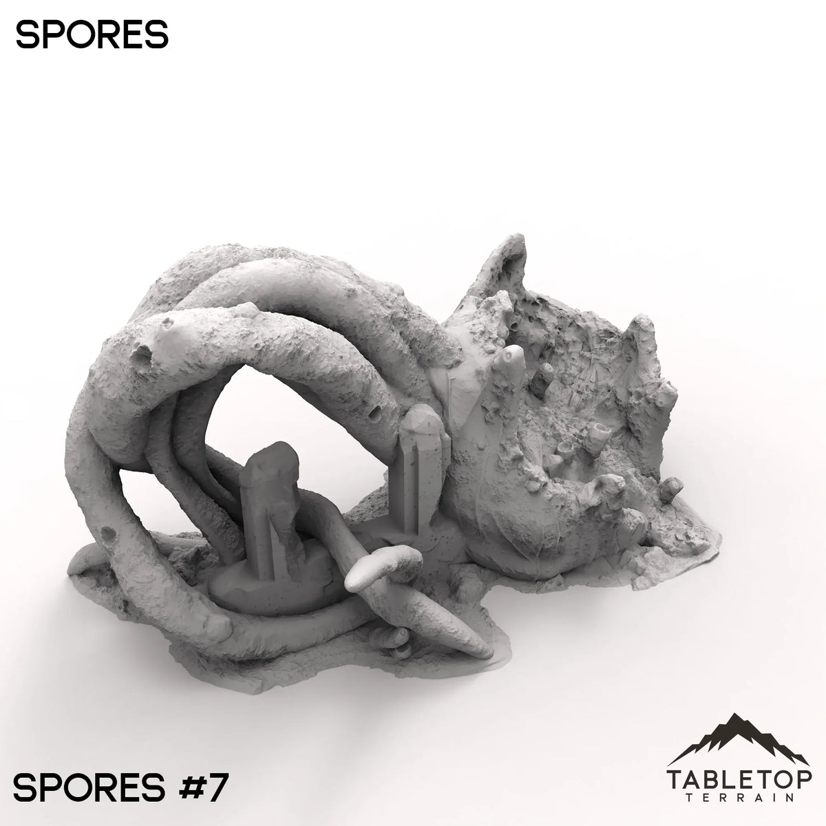 Spores