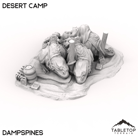 Desert Camp