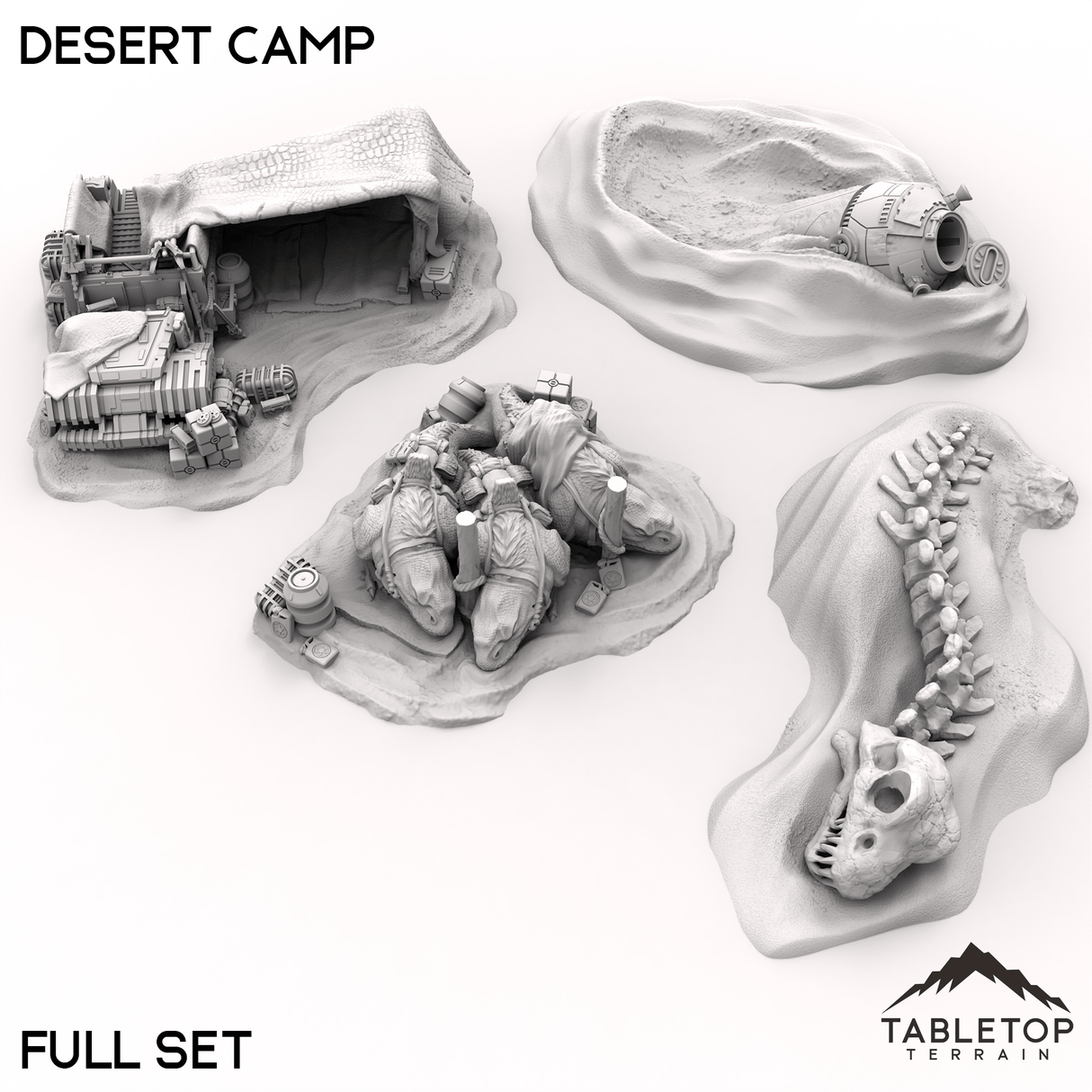 Desert Camp