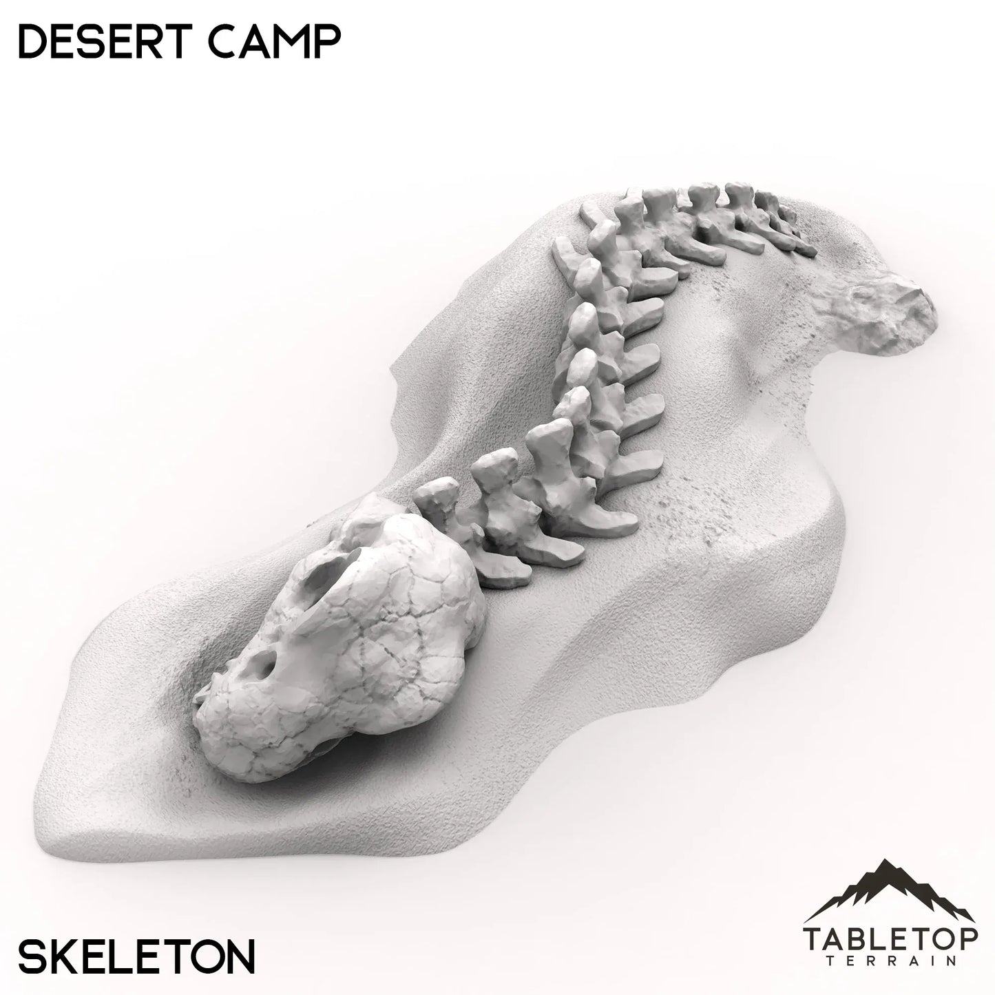 Desert Camp