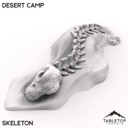 Desert Camp