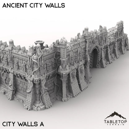 Ancient City Walls