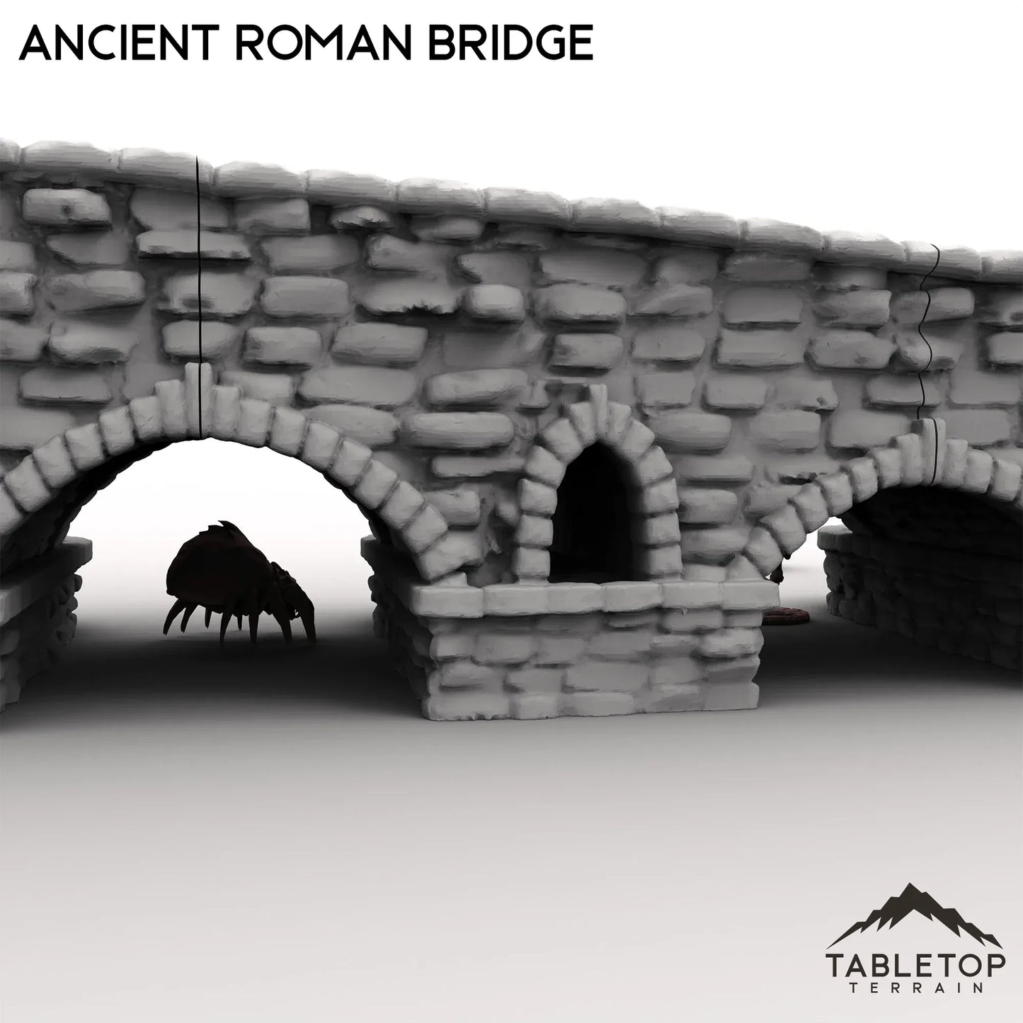 Ancient Roman Bridge