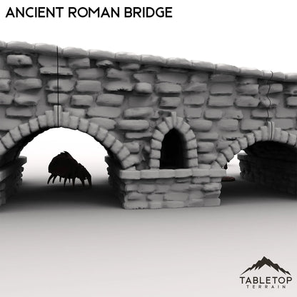 Ancient Roman Bridge