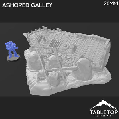 Ashored Galley