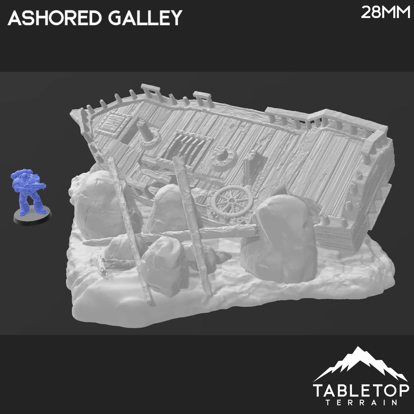 Ashored Galley