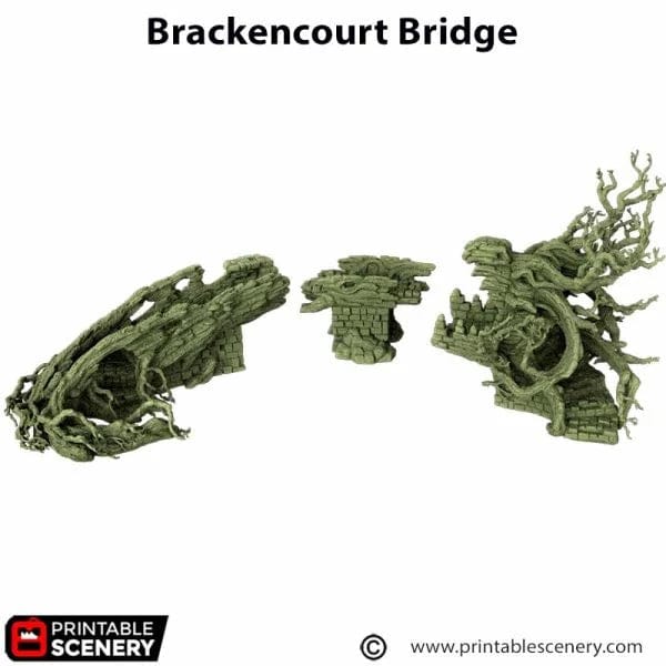 Brackencourt Bridge - The Gloaming Swamp