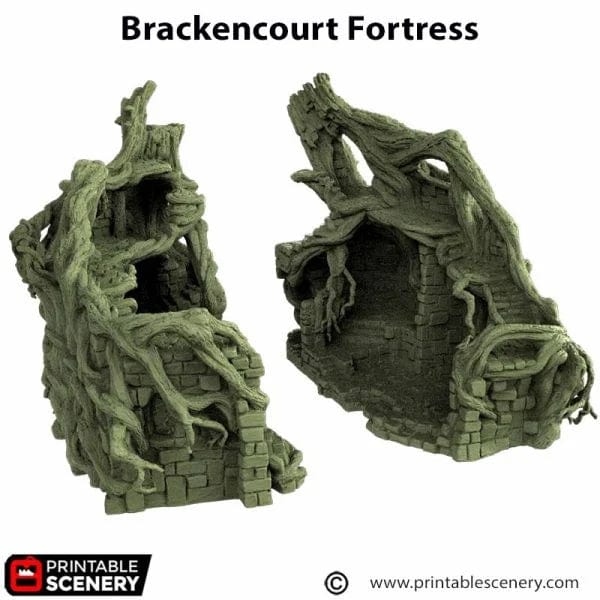 Brackencourt Fortress - The Gloaming Swamp