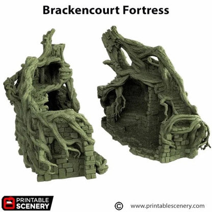 Brackencourt Fortress - The Gloaming Swamp