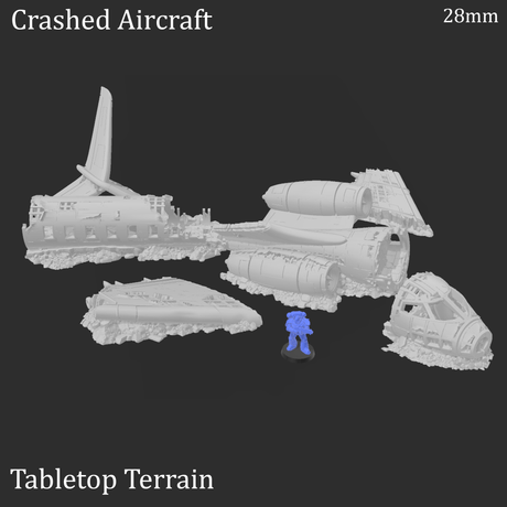 Crashed Airplane - Apocalyptic Terrain