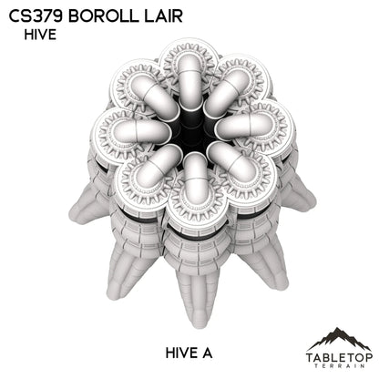 CS379 Boroll Lair