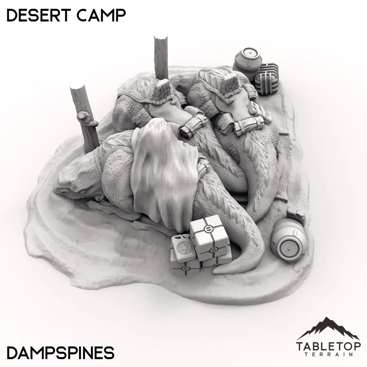 Desert Camp