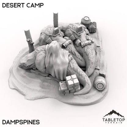 Desert Camp