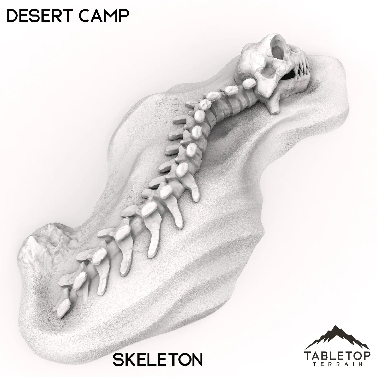 Desert Camp