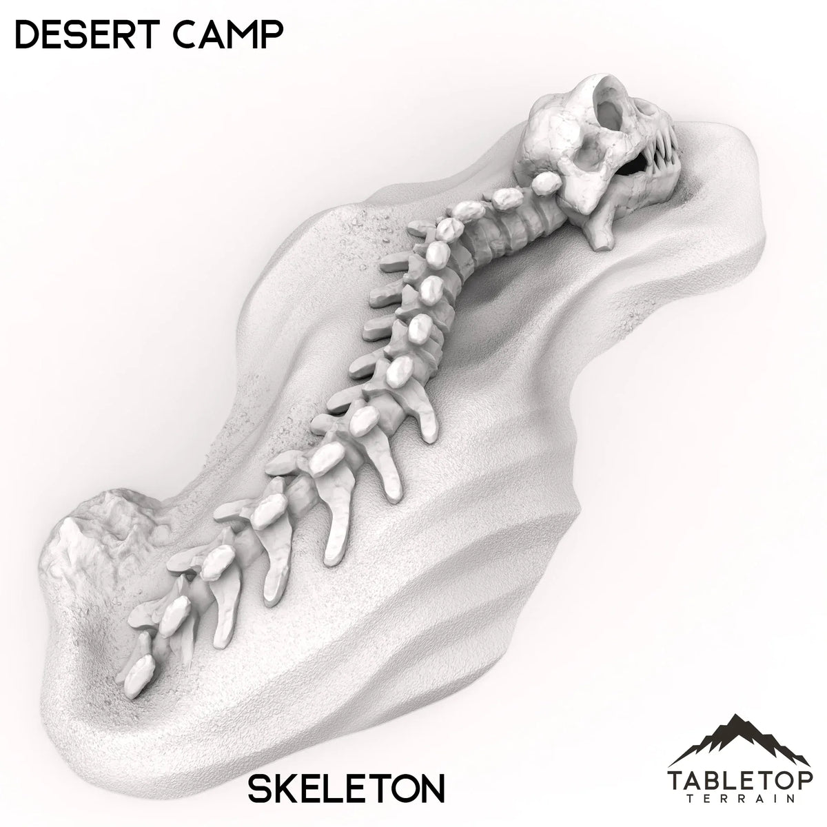Desert Camp