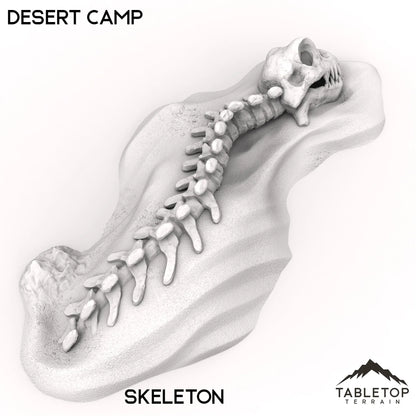 Desert Camp