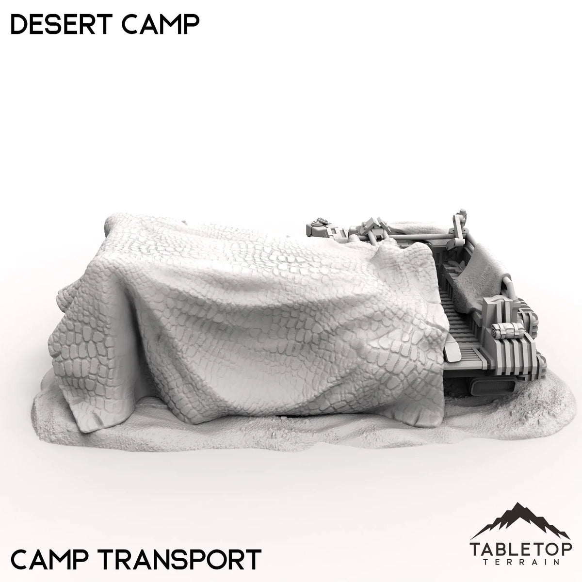 Desert Camp