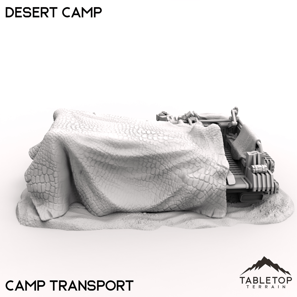 Desert Camp