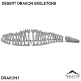 Desert Dragon Skeletons