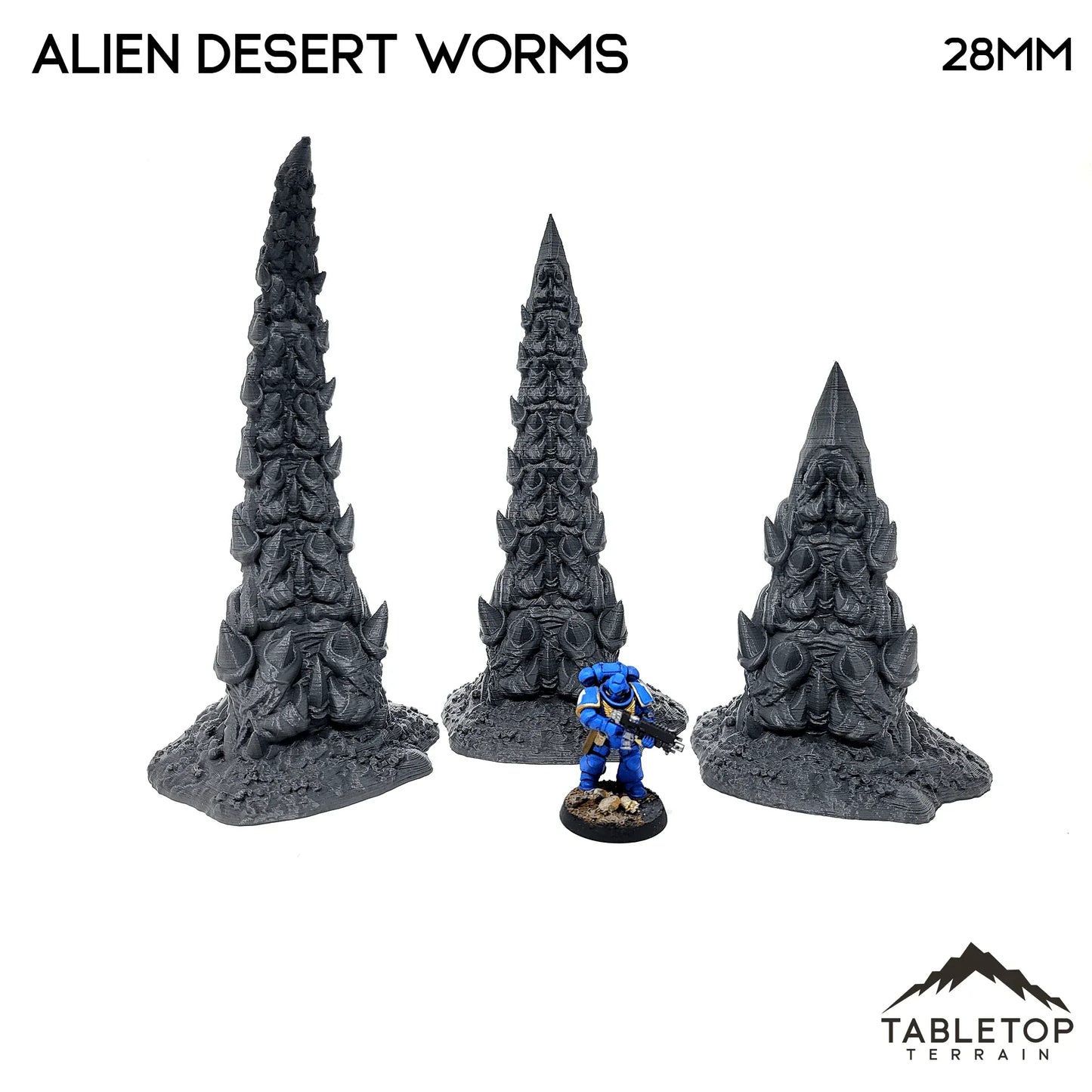 Desert Worms