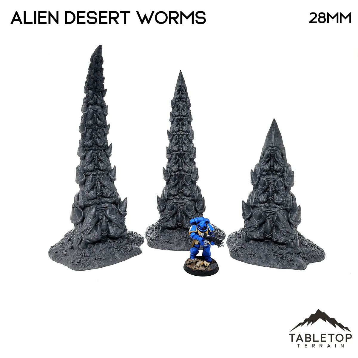Desert Worms
