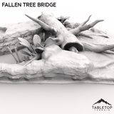 Fallen Tree Bridge