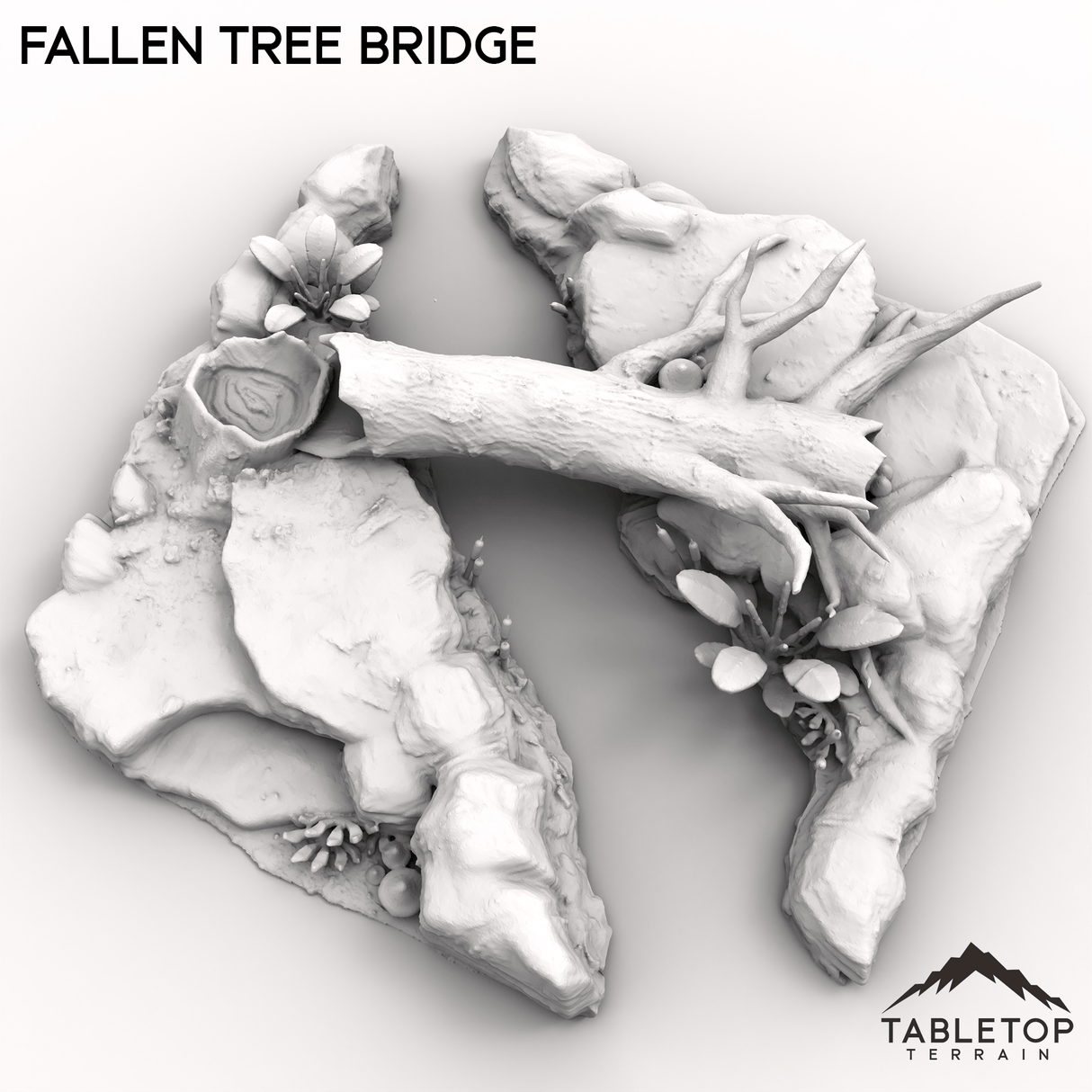 Fallen Tree Bridge