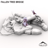 Fallen Tree Bridge