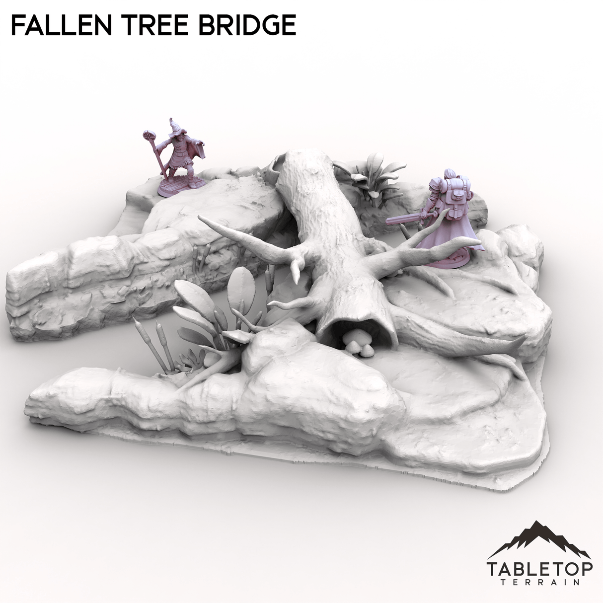 Fallen Tree Bridge