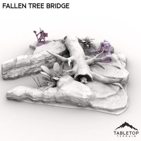 Fallen Tree Bridge