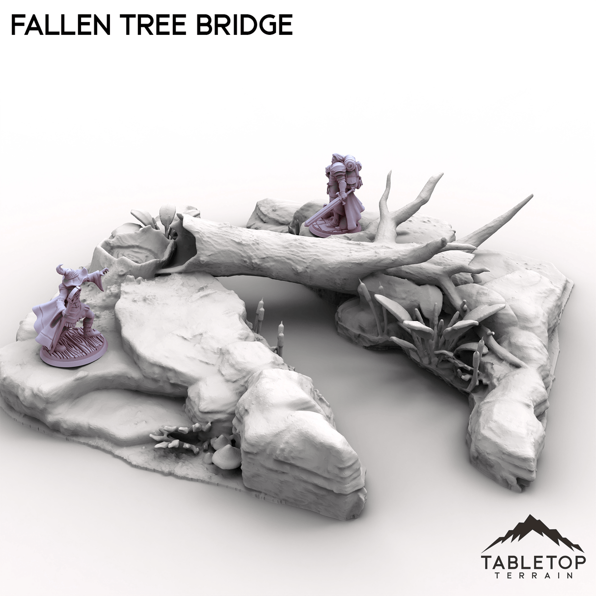 Fallen Tree Bridge
