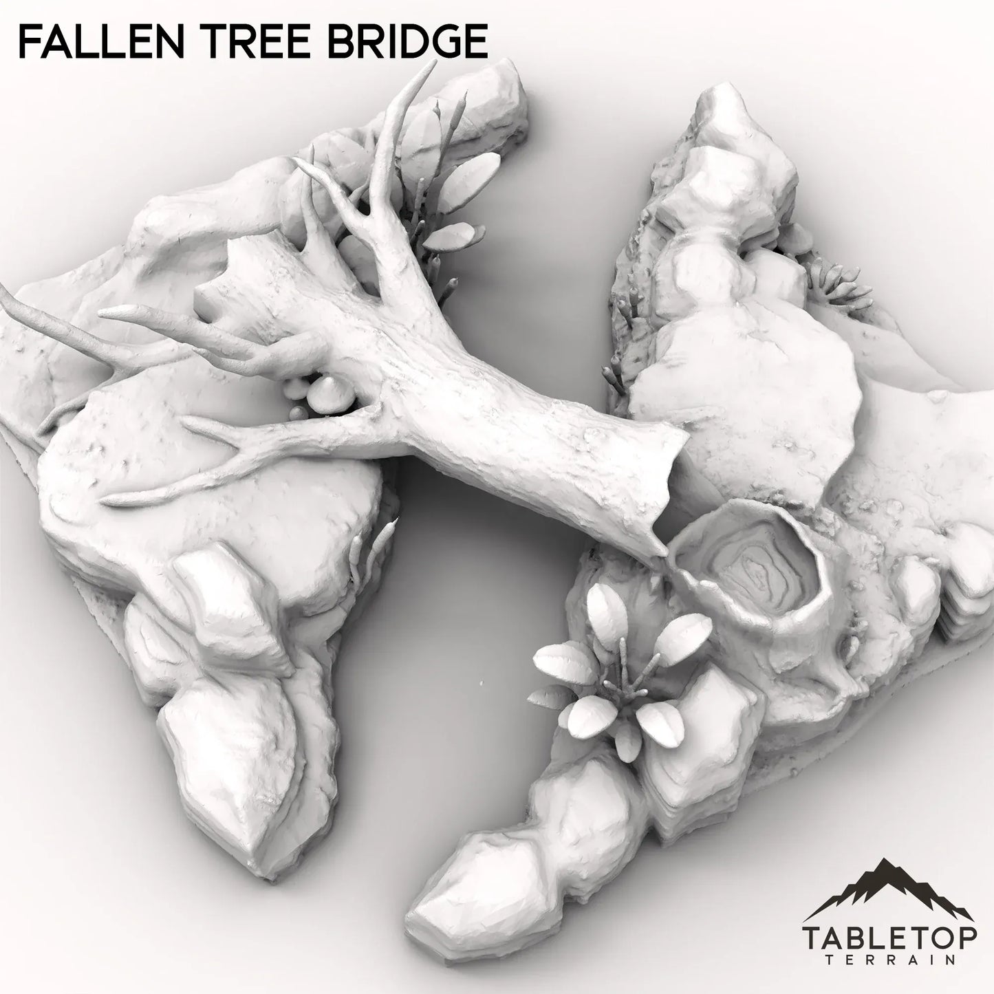 Fallen Tree Bridge