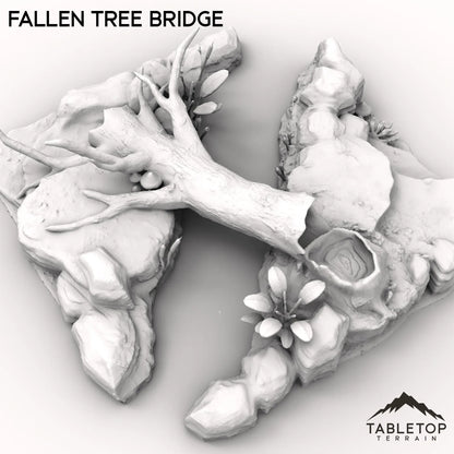 Fallen Tree Bridge