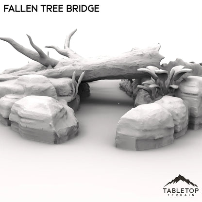 Fallen Tree Bridge
