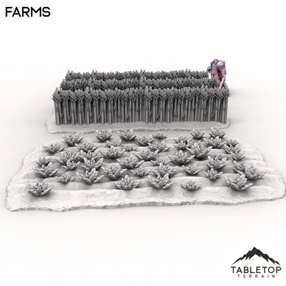 Farms - Kingdom of Saxonia
