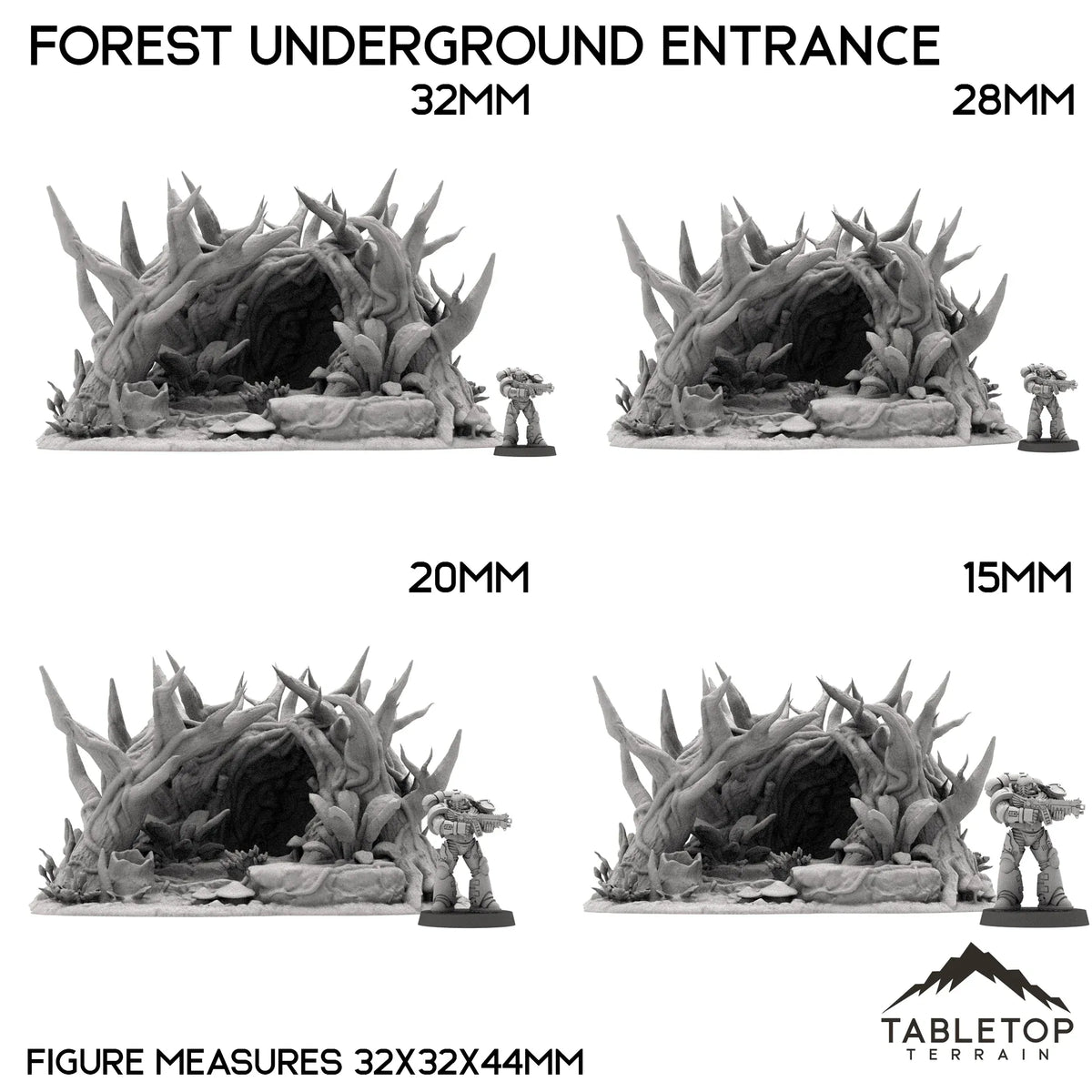 Forest Underground Entrance