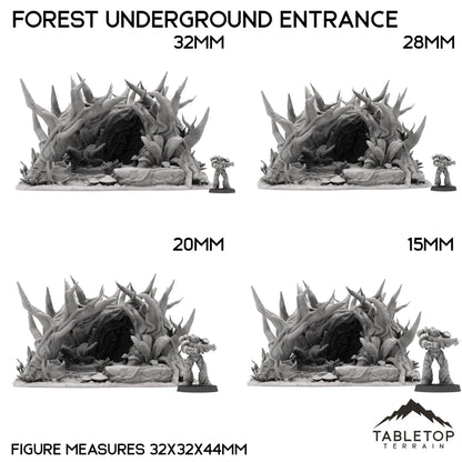 Forest Underground Entrance