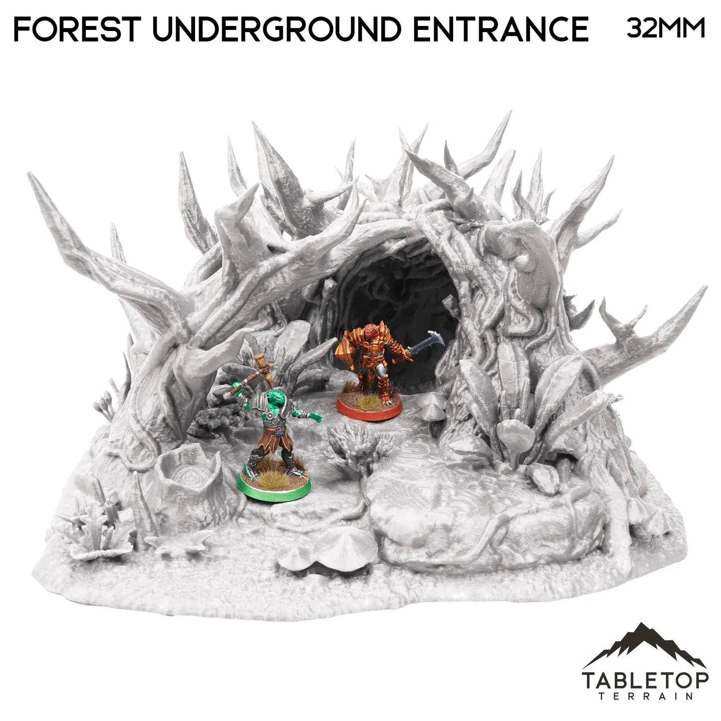 Forest Underground Entrance