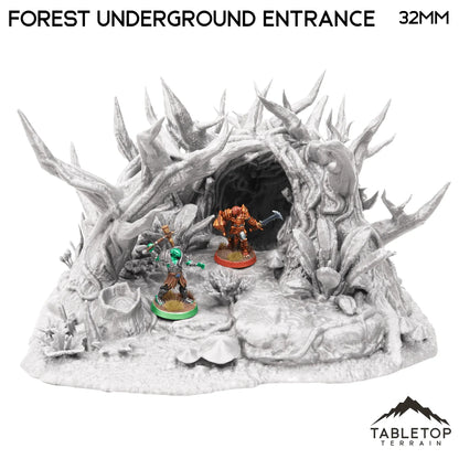 Forest Underground Entrance