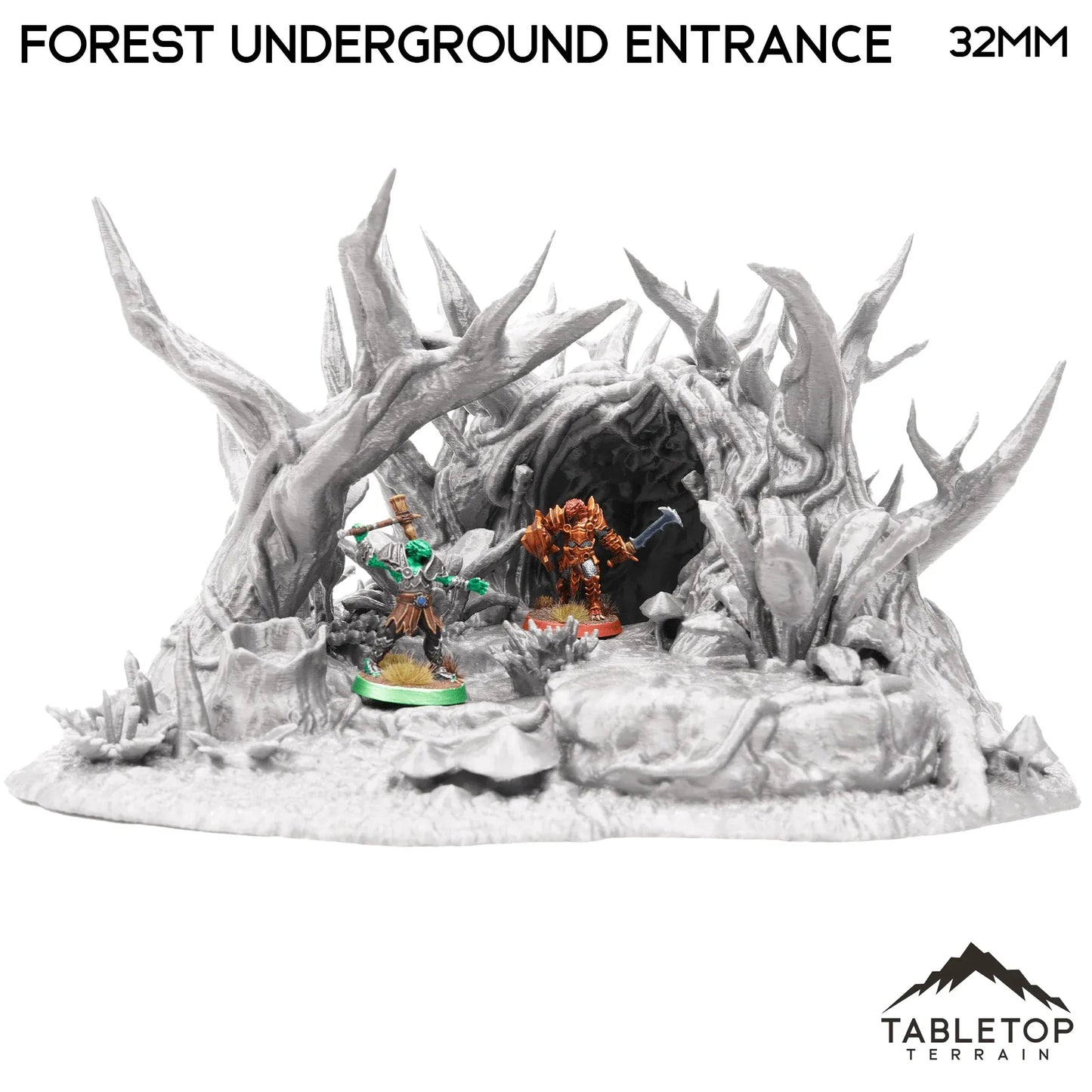 Forest Underground Entrance