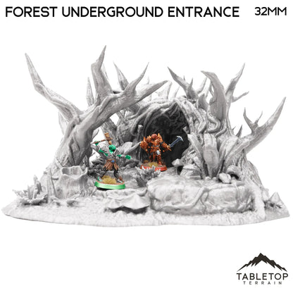 Forest Underground Entrance