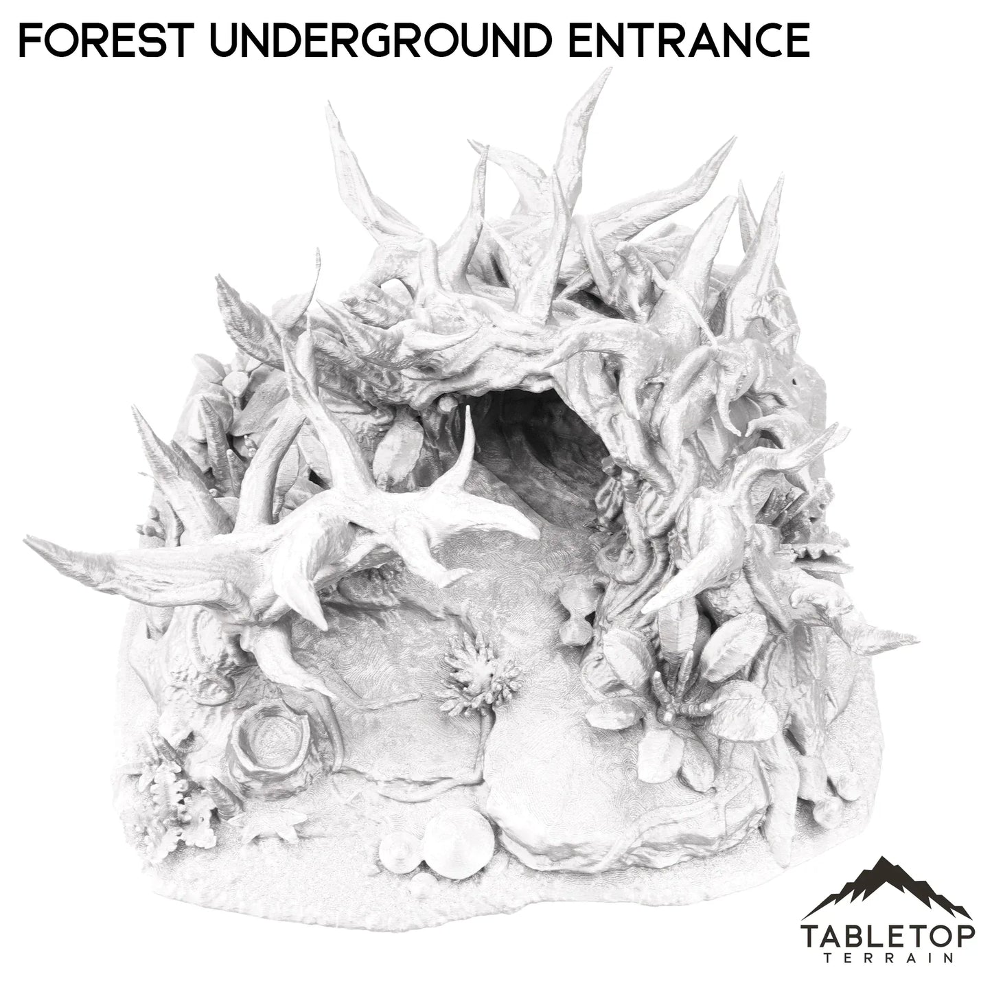 Forest Underground Entrance