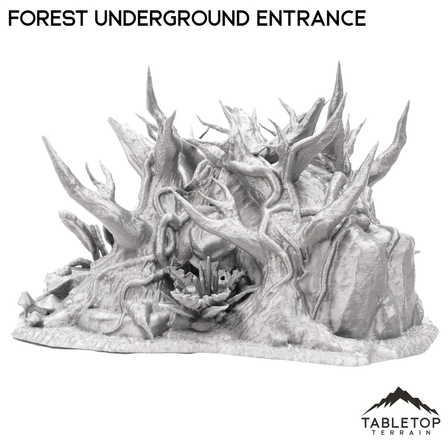 Forest Underground Entrance