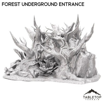 Forest Underground Entrance